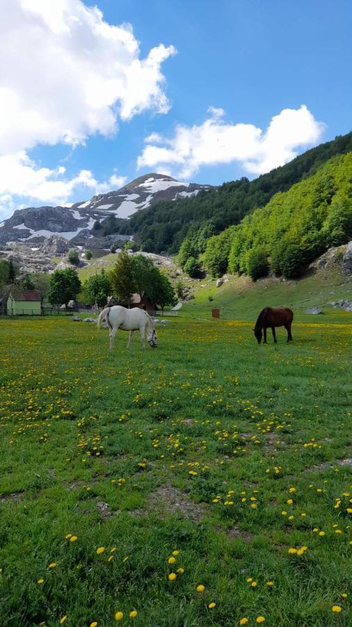 Katun Mokra accommodation&horseback riding Podgorica Exteriör bild