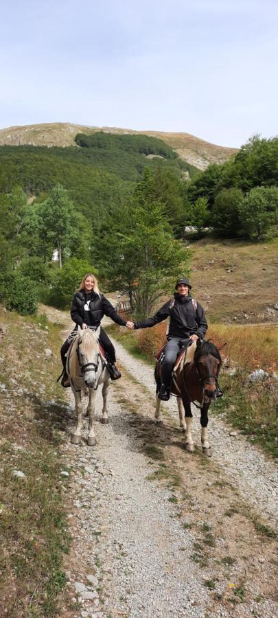 Katun Mokra accommodation&horseback riding Podgorica Exteriör bild