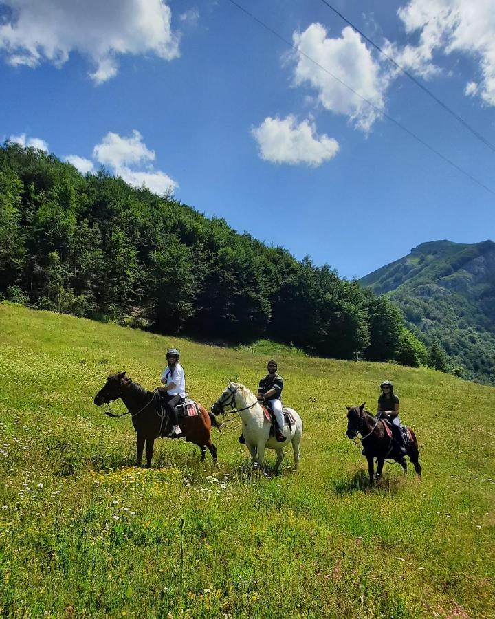 Katun Mokra accommodation&horseback riding Podgorica Exteriör bild