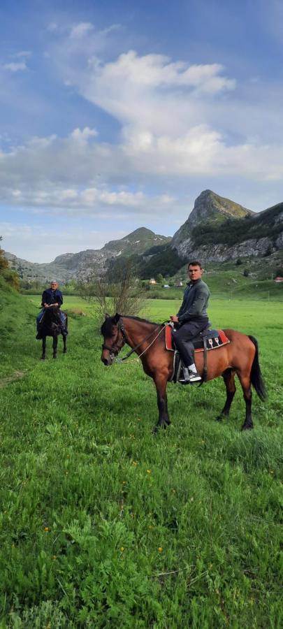 Katun Mokra accommodation&horseback riding Podgorica Exteriör bild