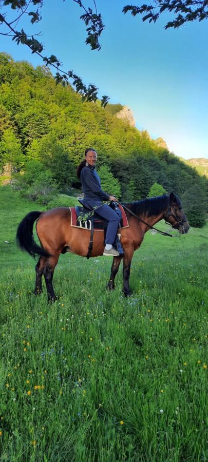 Katun Mokra accommodation&horseback riding Podgorica Exteriör bild