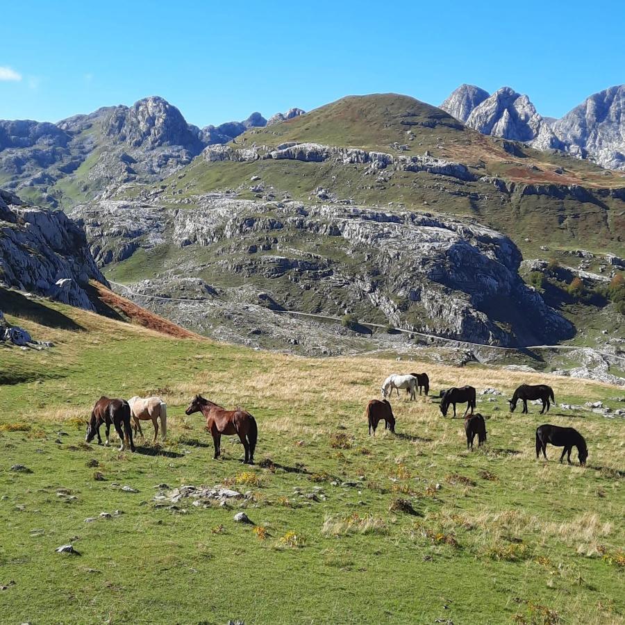 Katun Mokra accommodation&horseback riding Podgorica Exteriör bild