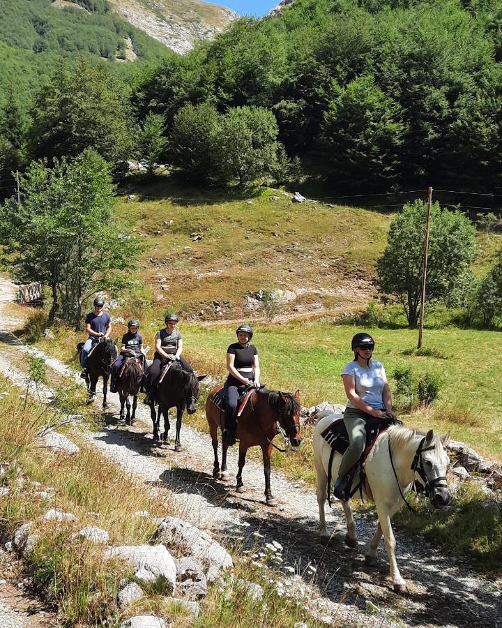 Katun Mokra accommodation&horseback riding Podgorica Exteriör bild