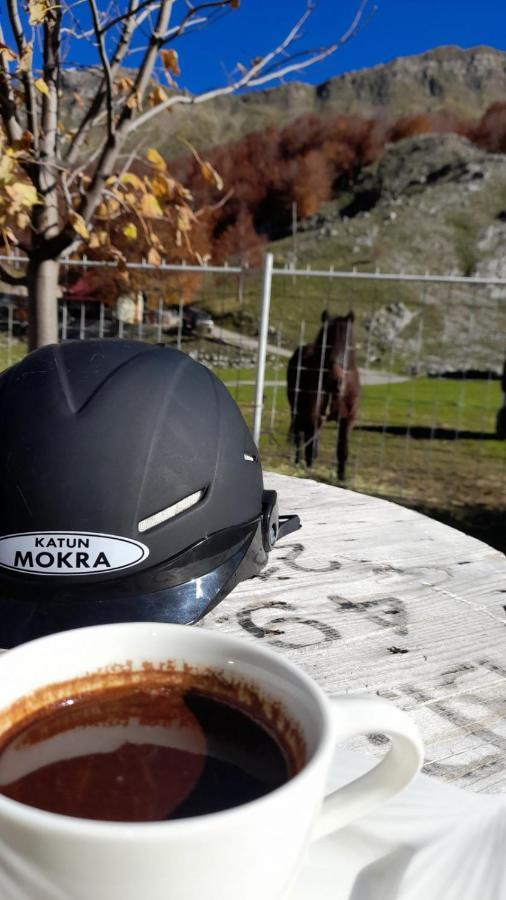 Katun Mokra accommodation&horseback riding Podgorica Exteriör bild