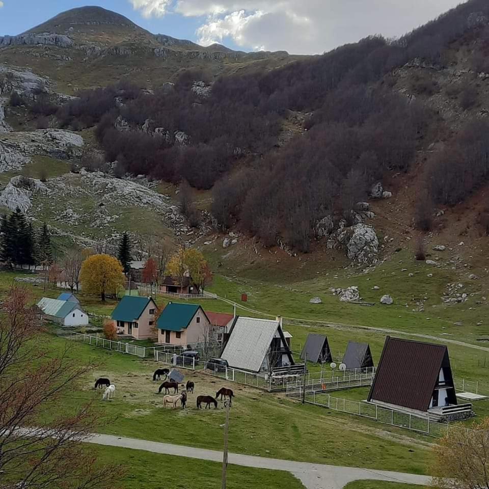 Katun Mokra accommodation&horseback riding Podgorica Exteriör bild