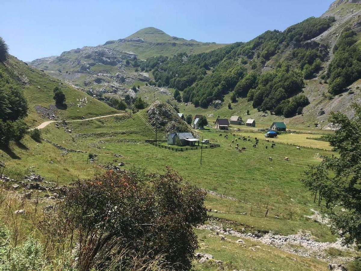 Katun Mokra accommodation&horseback riding Podgorica Exteriör bild