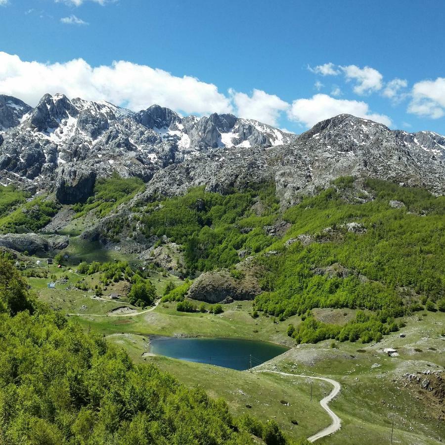 Katun Mokra accommodation&horseback riding Podgorica Exteriör bild