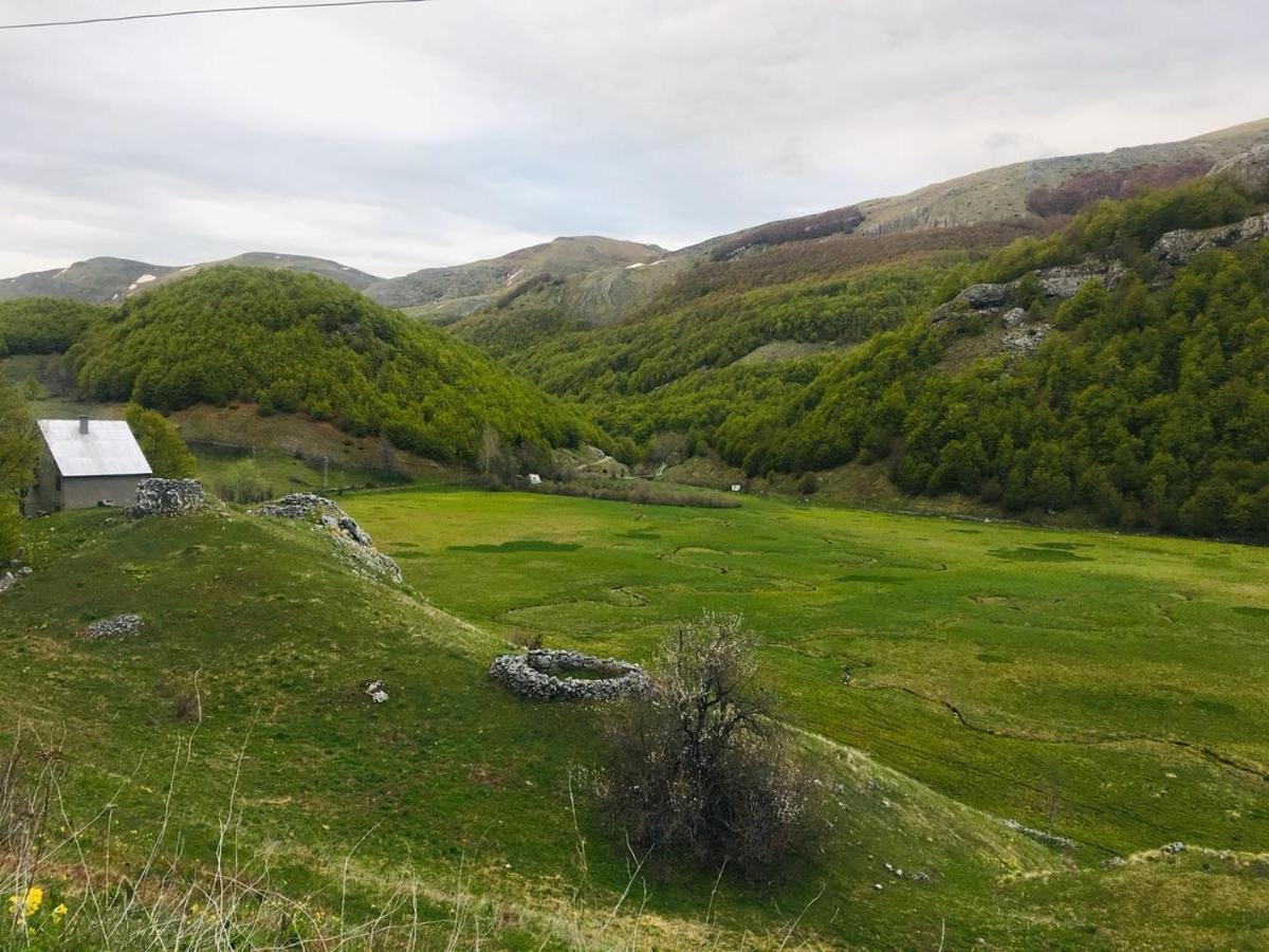 Katun Mokra accommodation&horseback riding Podgorica Exteriör bild